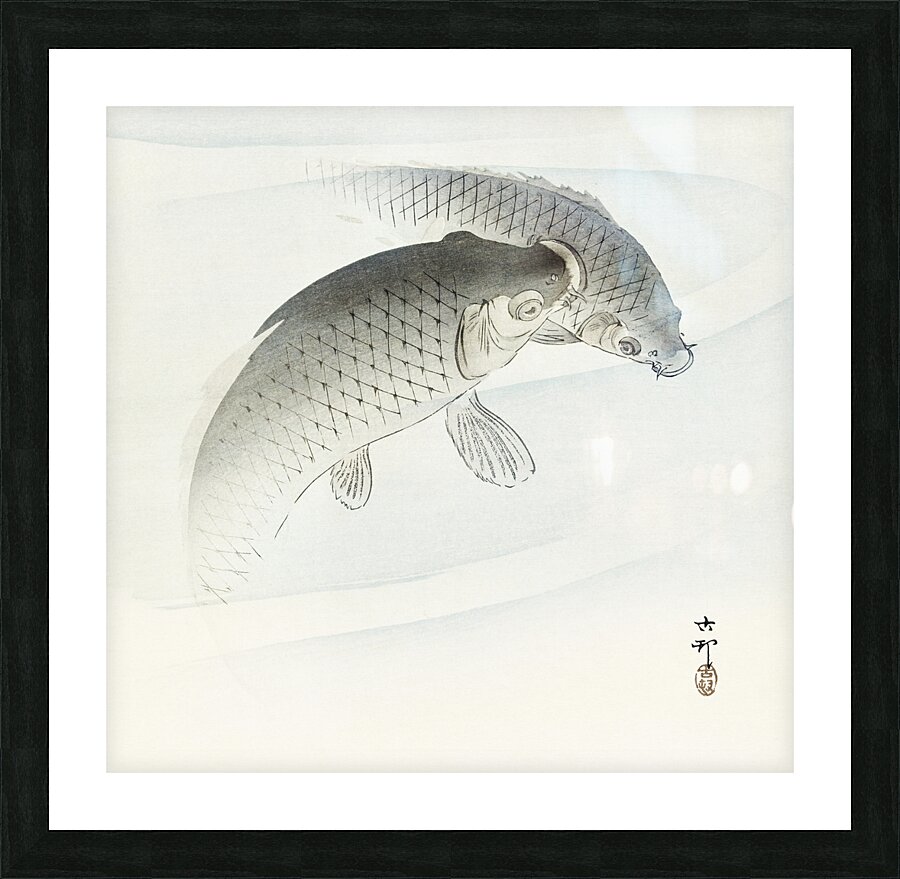 Two carp fish 1900 - 1910 by Ohara Koson 1877-1945. Picture Frame print