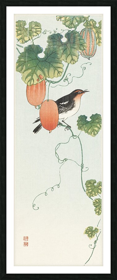 Songbird in cucumber plant 1925 - 1936 by Ohara Koson 1877-1945. Picture Frame print