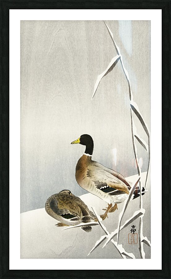 Two ducks on snowy reed 1900 - 1930 by Ohara Koson 1877-1945. Picture Frame print
