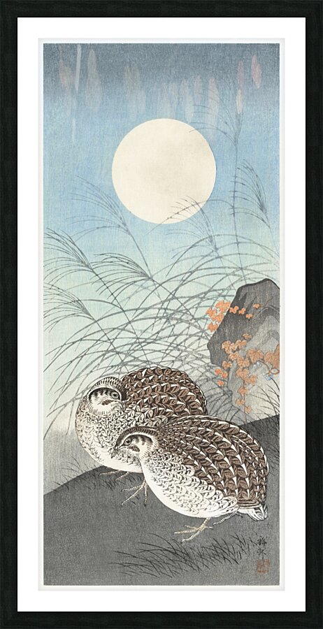 Two quails at full moon 1900 - 1936 by Ohara Koson 1877-1945. Picture Frame print