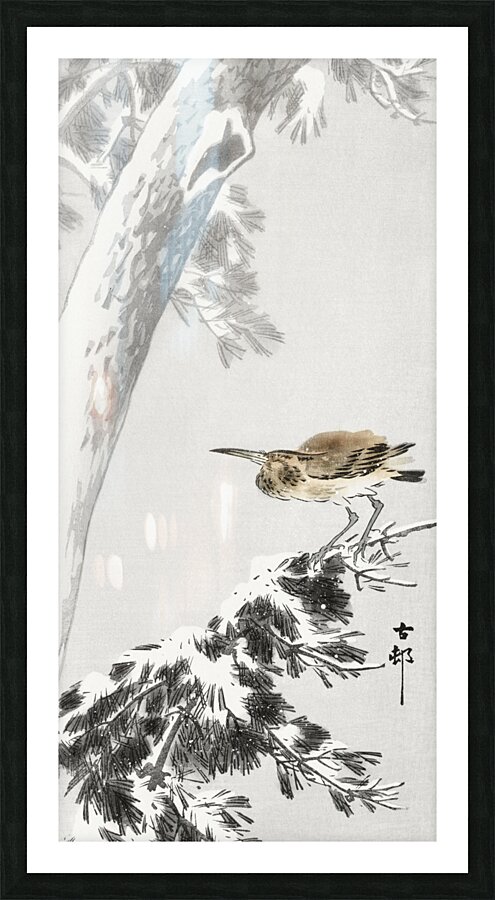 Indian quack on snowy tree branch 1900 - 1930 by Ohara Koson 1877-1945. Picture Frame print