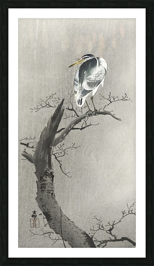 Kwak on branch 1900 - 1936 by Ohara Koson 1877-1945. Picture Frame print