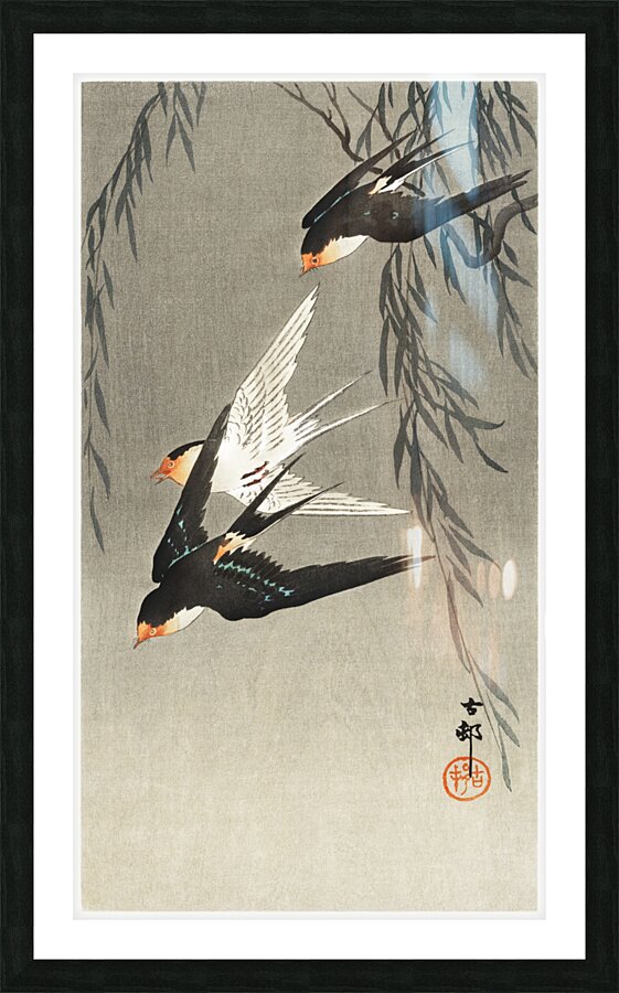 Three red-tailed swallows in dive 1900-1930 by Ohara Koson 1877-1945. Picture Frame print