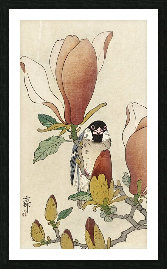 Sparrow on blooming magnolia branch 1900 - 1930 by Ohara Koson 1877-1945. Picture Frame print