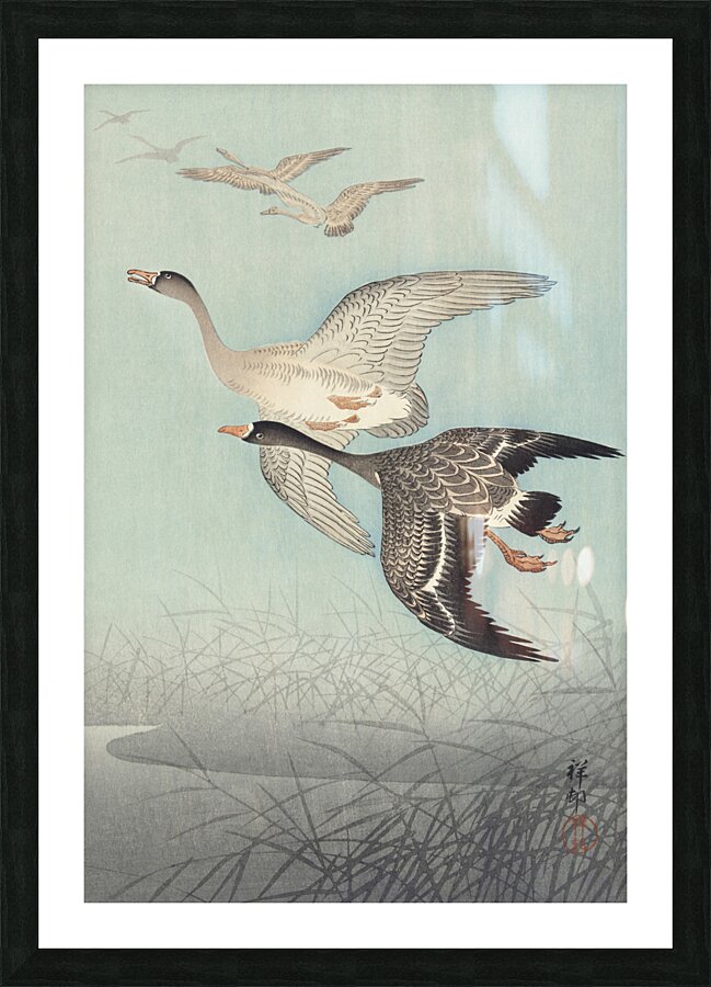 Great geese in flight 1925 - 1936 by Ohara Koson 1877-1945. Picture Frame print