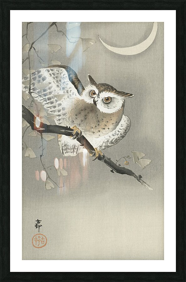 Long-eared owl in ginkgo 1900 - 1930 by Ohara Koson 1877-1945. Picture Frame print
