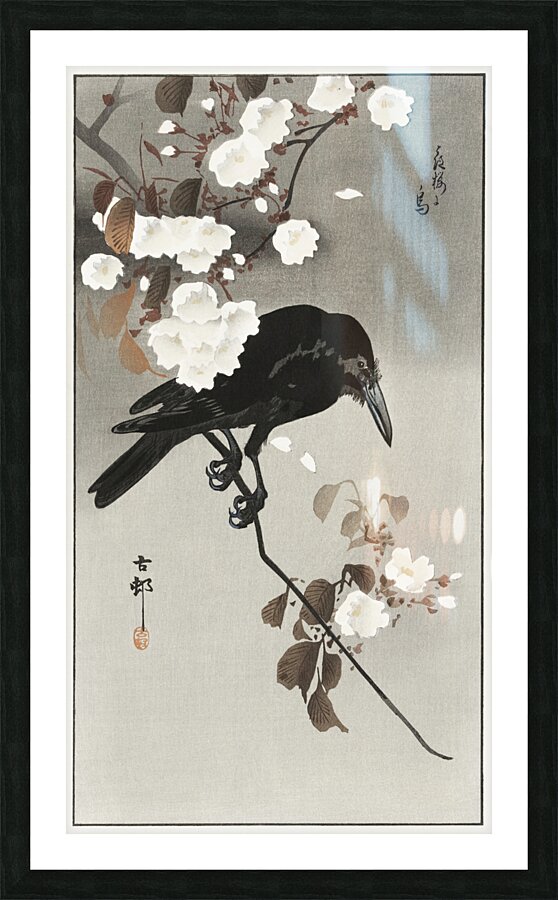 Crow and cherry blossom 1930 - 1975 by Ohara Koson 1877-1945. Picture Frame print