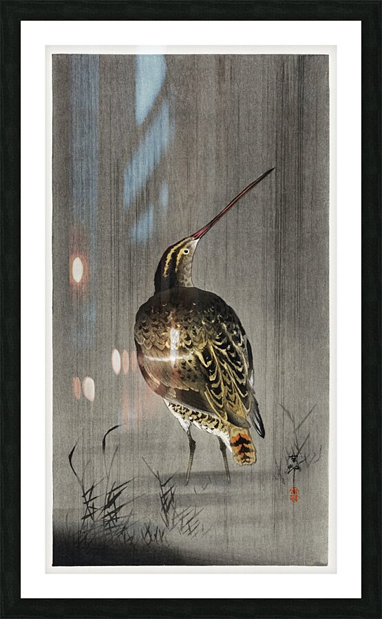 Snipe in the rain 1900 - 1930 by Ohara Koson 1877-1945. Picture Frame print