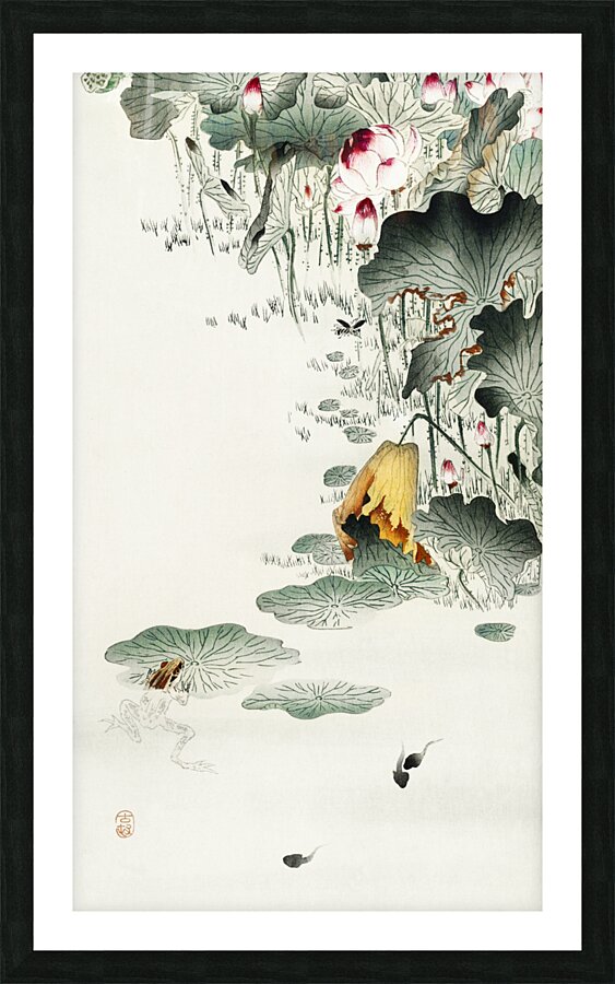Frog and tadpoles 1900 - 1930 by Ohara Koson 1877-1945. Picture Frame print