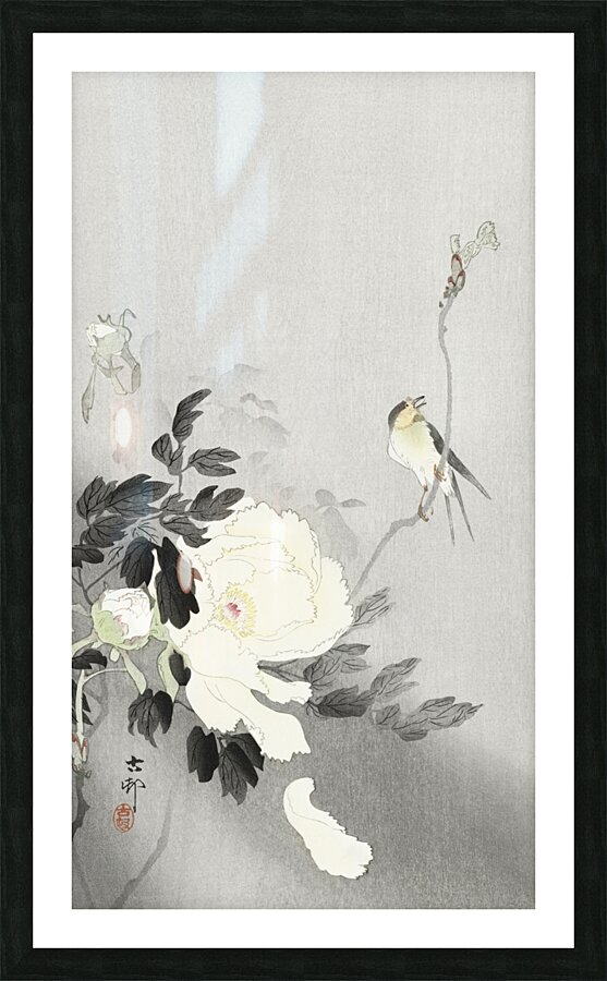 Swallow with Peony 1900 - 1930 by Ohara Koson 1877-1945. Picture Frame print