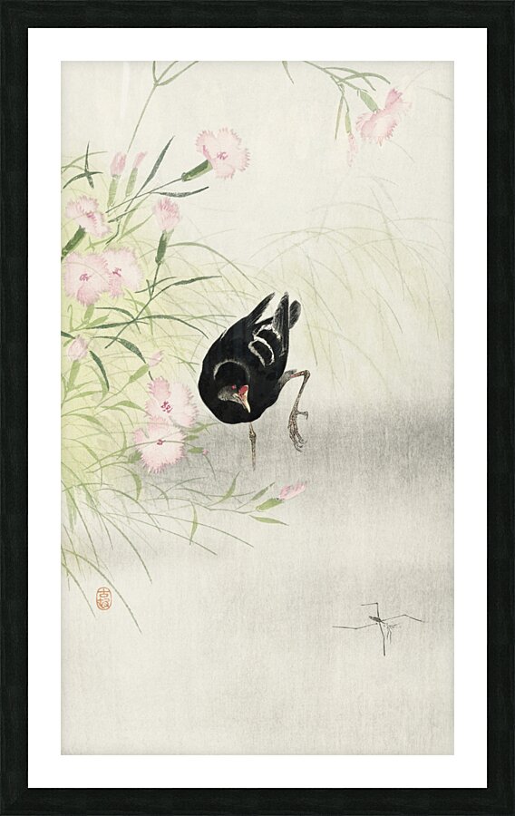 Moorhen at flowering plant 1900 - 1936 by Ohara Koson 1877-1945. Picture Frame print
