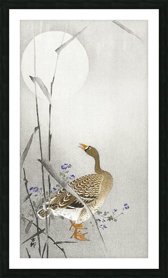 Goose at full moon 1900 - 1936 by Ohara Koson 1877-1945. Picture Frame print