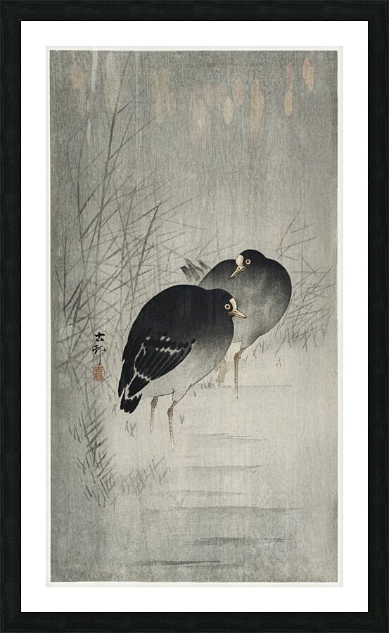 Moorhills between reeds 1900 - 1930 by Ohara Koson 1877-1945. Picture Frame print