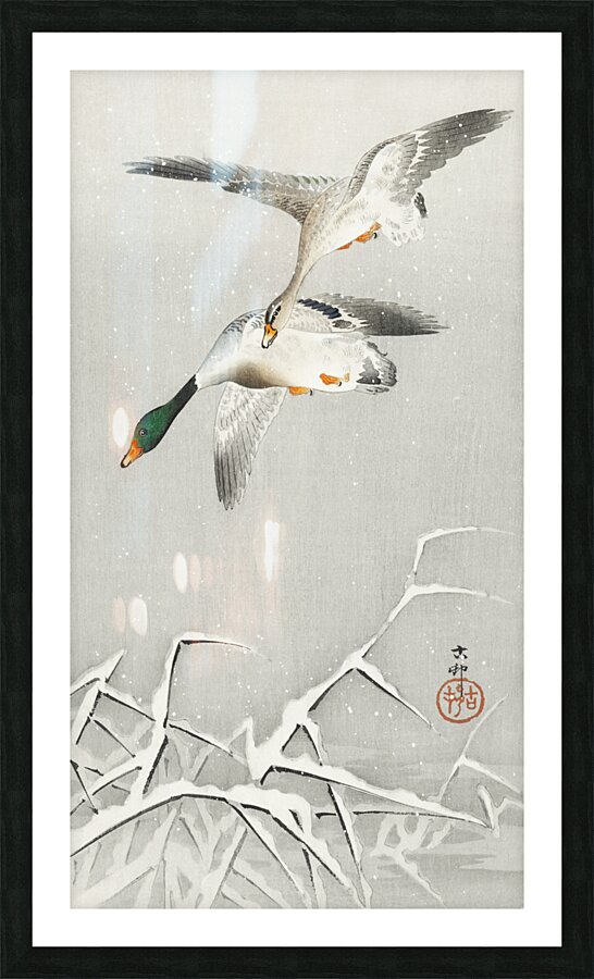 Two wild ducks in flight 1900 - 1936 by Ohara Koson 1877-1945. Picture Frame print