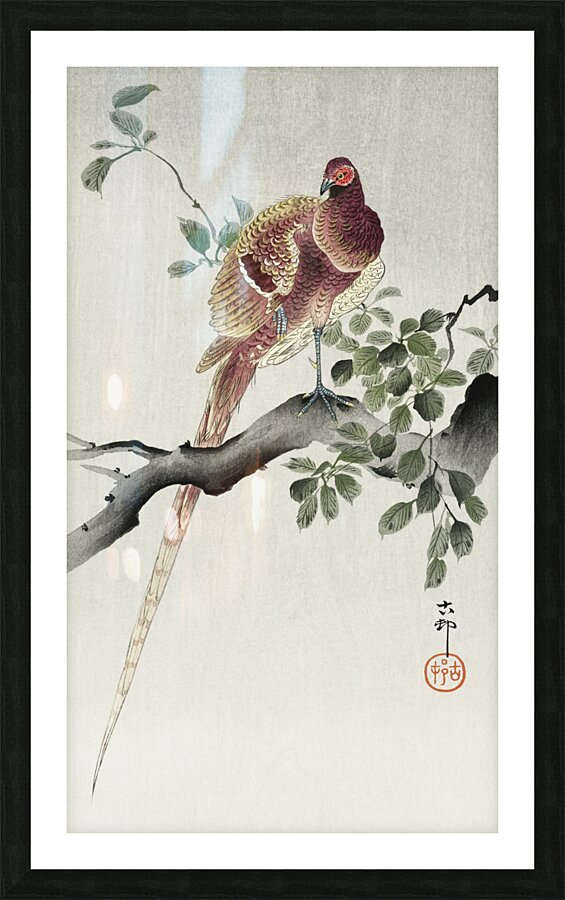 Copper pheasant 1900 - 1930 by Ohara Koson 1877-1945. Picture Frame print