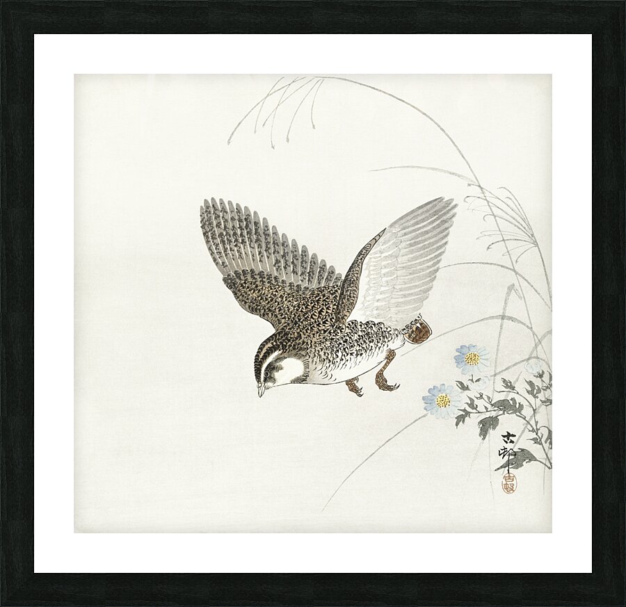 Flying quail 1900 - 1930 by Ohara Koson 1877-1945. Picture Frame print
