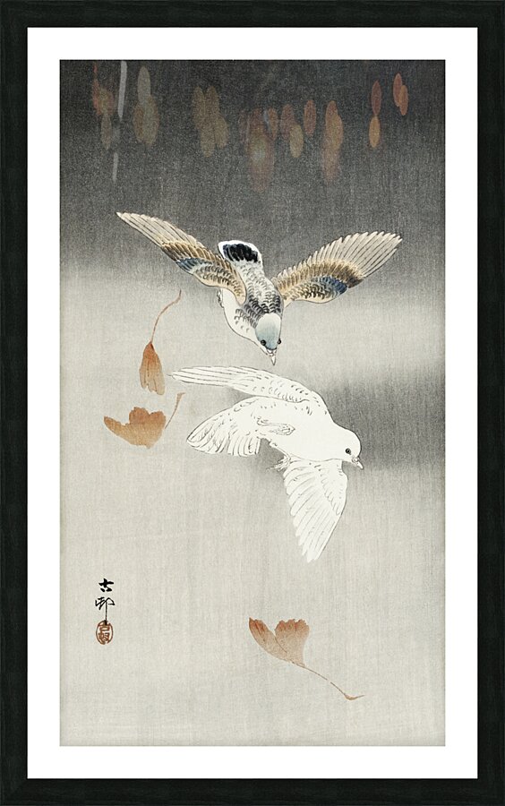Two pigeons with falling ginkgo leaves 1900 - 1930 by Ohara Koson 1877-1945. Picture Frame print
