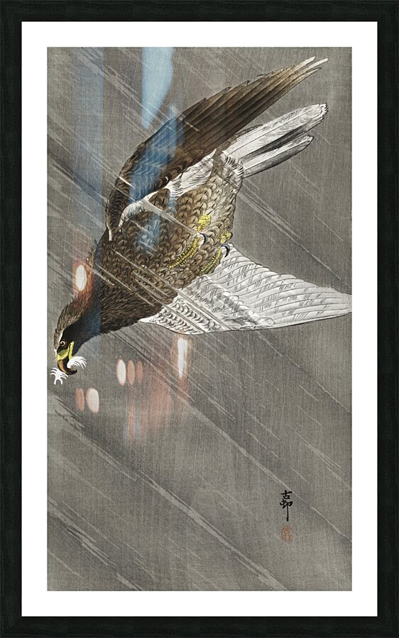 Downward flying eagle 1900 - 1930 by Ohara Koson 1877-1945. Picture Frame print