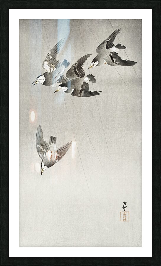 Starlings in the rain 1900 - 1930 by Ohara Koson 1877-1945. Picture Frame print