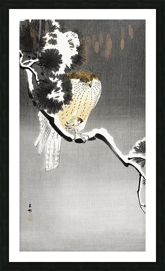 Hawk with sparrow 1900 - 1930 by Ohara Koson 1877-1945. Picture Frame print