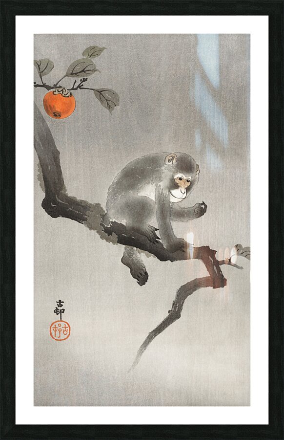 Monkey in cockatoo 1900 - 1930 by Ohara Koson 1877-1945. Picture Frame print
