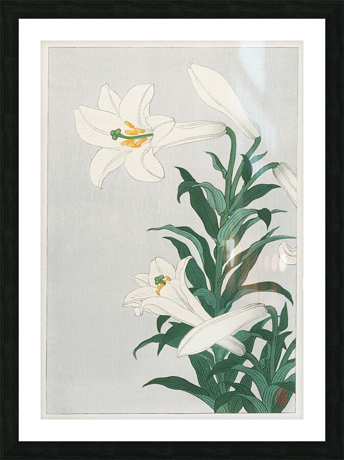 Lilies Ohara  1920 - 1930 by Ohara Koson 1877-1945. Picture Frame print