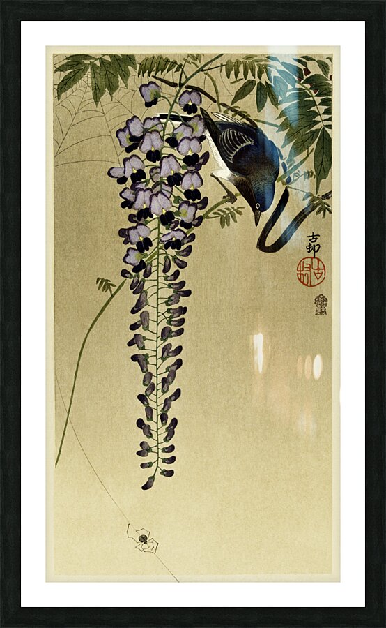 Flycatcher at wisteria 1900 - 1910 by Ohara Koson 1877-1945. Picture Frame print
