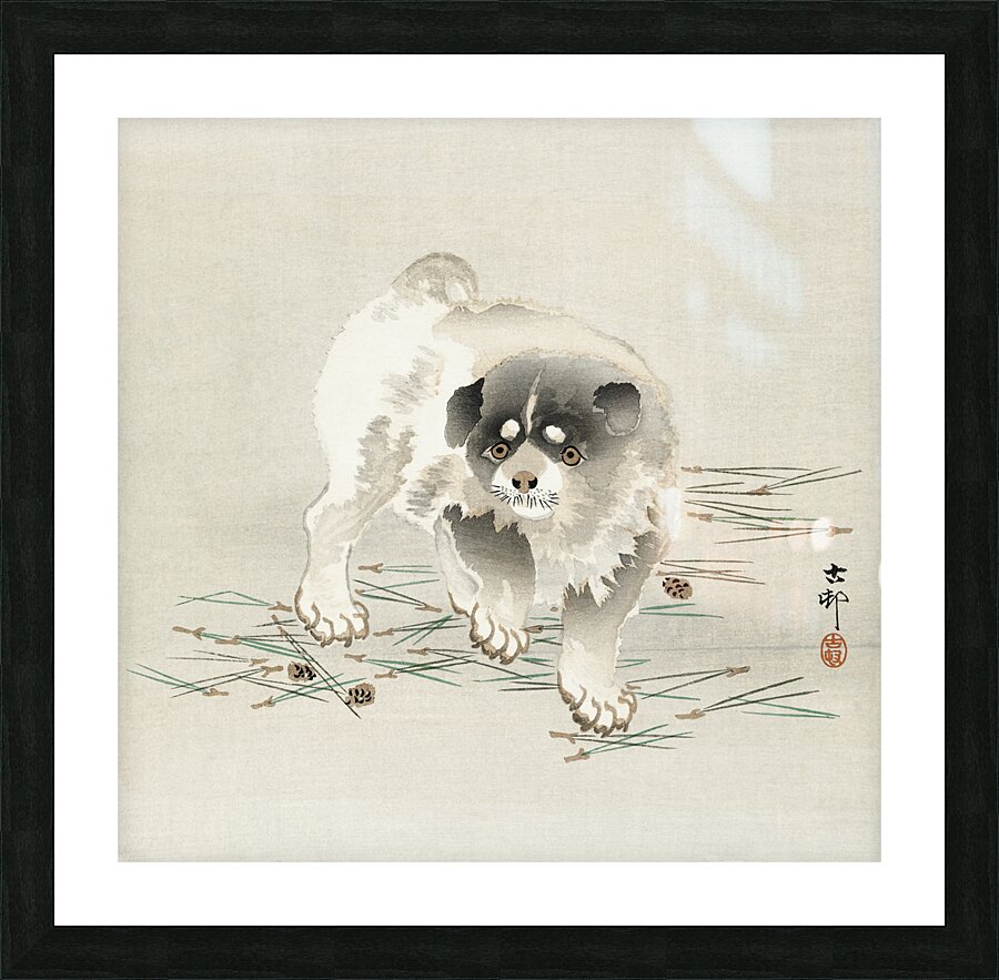 Young dog 1900 - 1930 by Ohara Koson 1877-1945. Picture Frame print