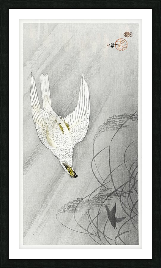 Hunting hawk 1900 - 1910 by Ohara Koson 1877-1945. Picture Frame print