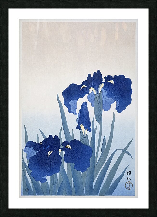 Iris flowers 1925 - 1936 by Ohara Koson 1877-1945. Picture Frame print