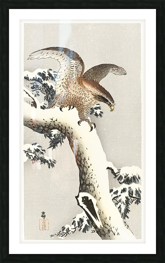 Eagle on a tree branch 1887 - 1930 by Ohara Koson 1877-1945. Picture Frame print