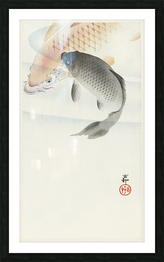 Two carp 1900 - 1930 by Ohara Koson 1877-1945. Picture Frame print