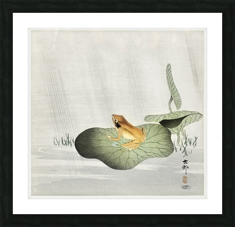 Frog on lotus leaf 1900 - 1930 by Ohara Koson 1877-1945. Picture Frame print