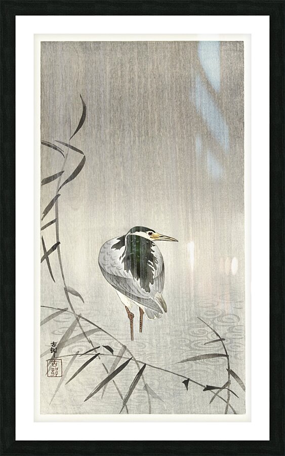Kwak in rain 1900 - 1936 by Ohara Koson 1877-1945. Picture Frame print