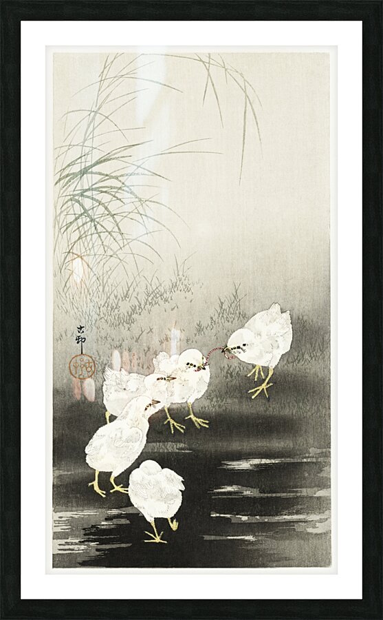 Chicks eating worms 1900 - 1930 by Ohara Koson 1877-1945. Picture Frame print
