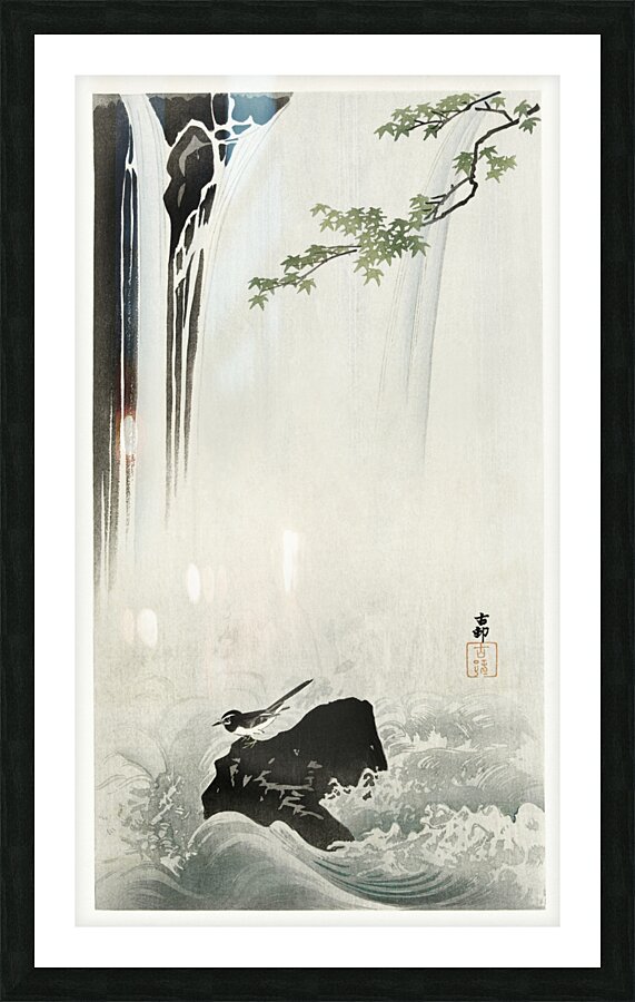 Japanese wagtail at waterfall 1900 - 1930 by Ohara Koson 1877-1945. Picture Frame print