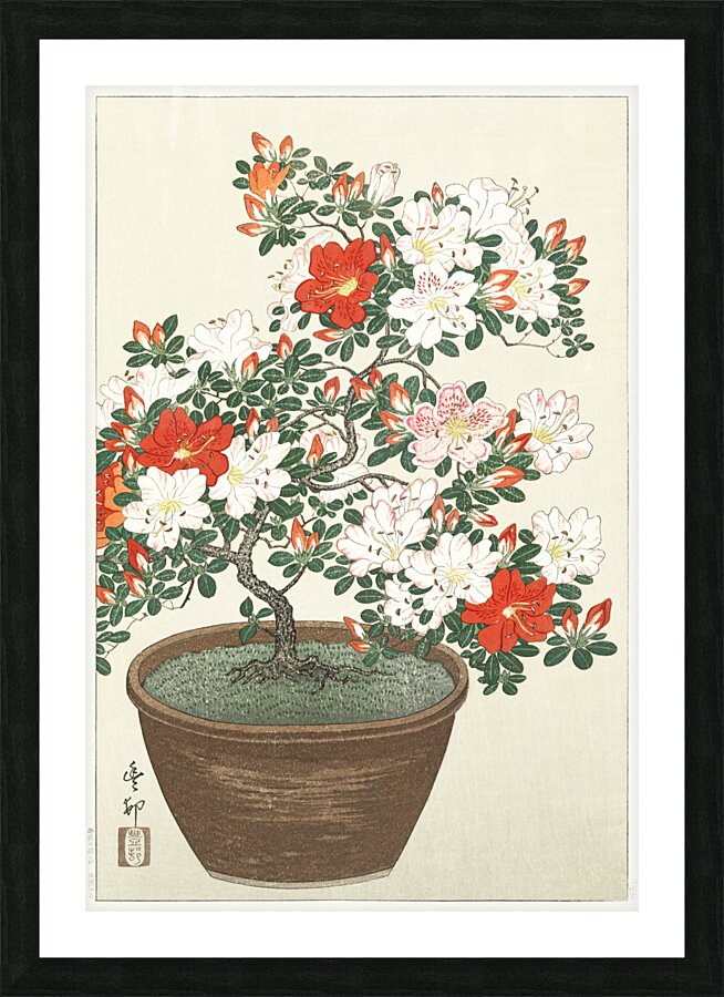 Blooming azalea in brown pot 1920 - 1930 by Ohara Koson 1877-1945. Picture Frame print
