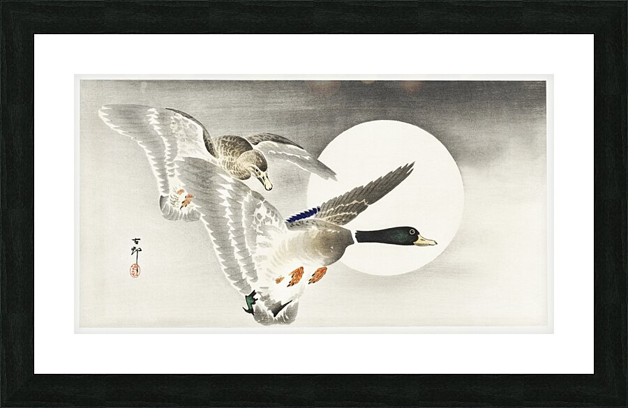 Two ducks at full moon 1900 - 1930 by Ohara Koson 1877-1945. Picture Frame print