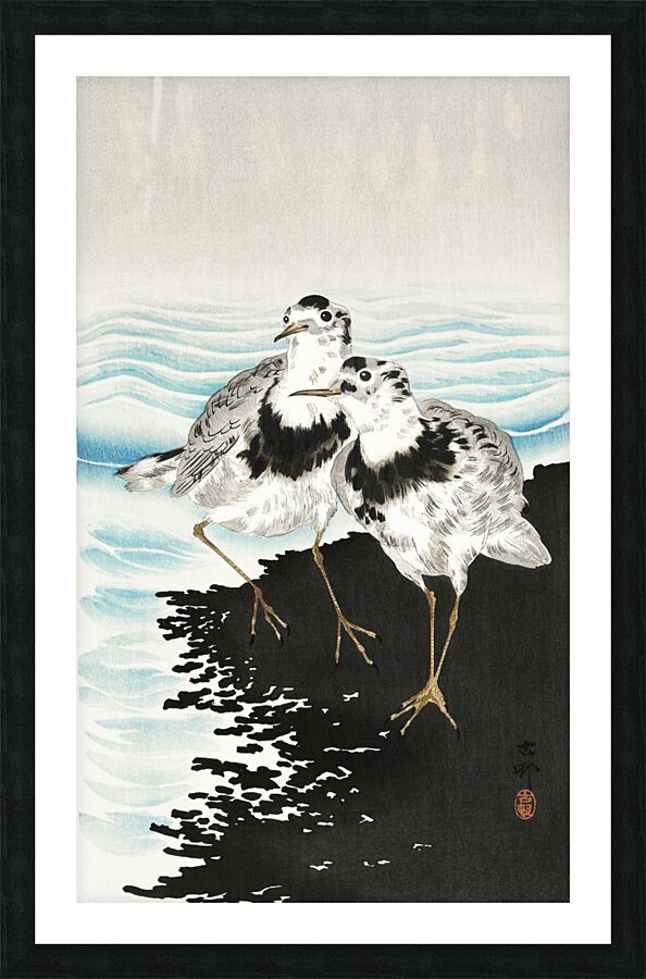 Large coot sandpipers 1900 - 1930 by Ohara Koson 1877-1945. Picture Frame print