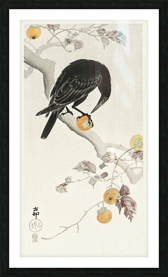 Crow with kaki fruit 1900 - 1910 by Ohara Koson 1877-1945. Picture Frame print