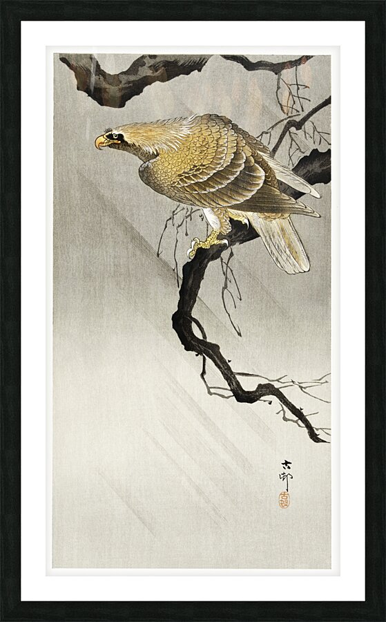 Eagle on branch 1900 - 1910 by Ohara Koson 1877-1945. Picture Frame print