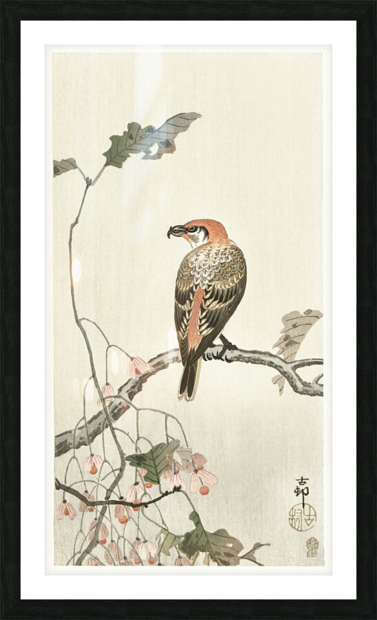 Crossbill on tree branch 1900 - 1910 by Ohara Koson 1877-1945. Picture Frame print