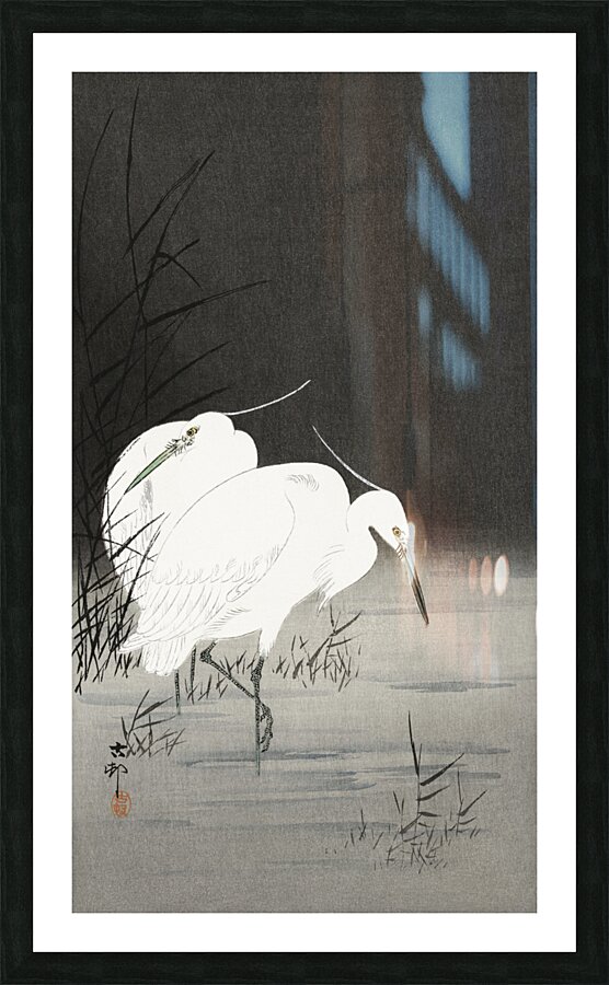 Two egrets in the reeds 1900 - 1930 by Ohara Koson 1877-1945. Picture Frame print