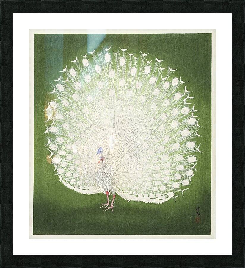 Peacock 1925 - 1936 by Ohara Koson 1877-1945. Picture Frame print