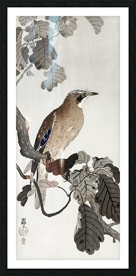 Jay on tree branch 1900 - 1910 by Ohara Koson 1877-1945. Picture Frame print