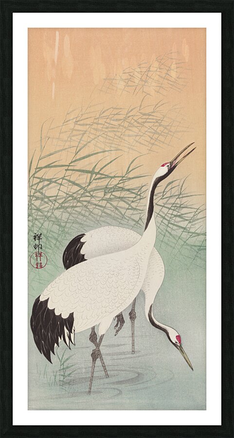 Two cranes 1925 - 1936 by Ohara Koson 1877-1945. Picture Frame print