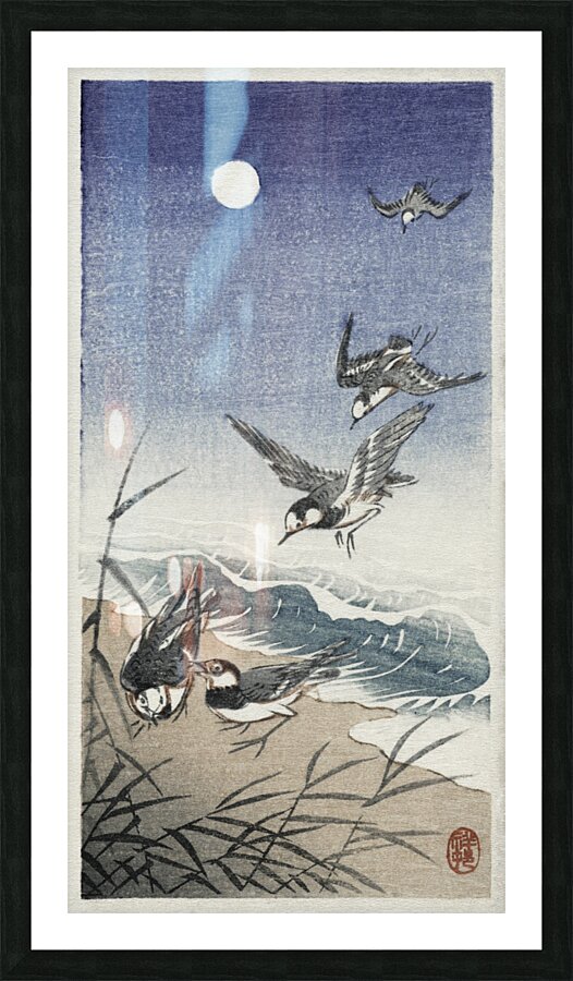 Three ducks in shallow water with reeds 1900 - 1930 by Ohara Koson 1877-1945. Picture Frame print