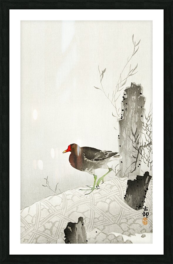 Moorhen 1900 - 1936 by Ohara Koson 1877-1945. Picture Frame print