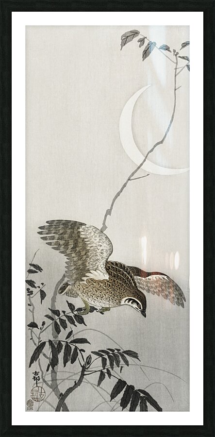 Quail at moon sickle 1900 - 1910 by Ohara Koson 1877-1945. Picture Frame print