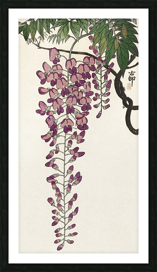 Blooming wisteria 1900 - 1930 by Ohara Koson1877-1945. Picture Frame print